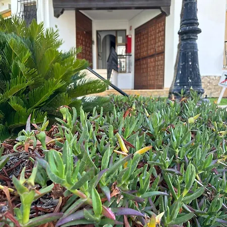 Langosta Petite Premium *